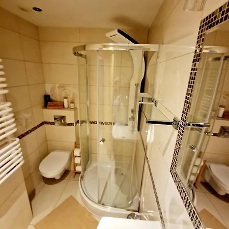 Room4u Mieszkania W Centrum בית אירוח שצ'קלארסקה פוראובה